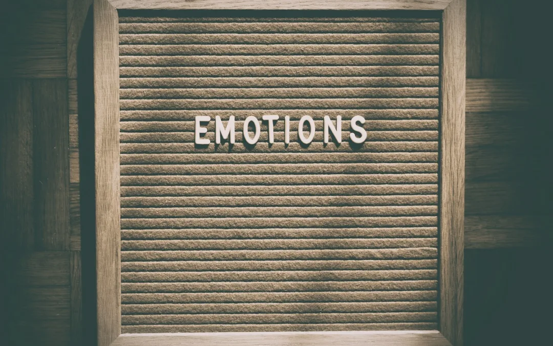 Le Monde des Émotions : L’Importance de l’Apprentissage Émotionnel