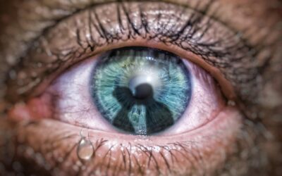 Comprendre et Transformer la Jalousie en Connaissance de Soi