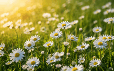 Beltane : célébrer l’élan vital et le retour du feu