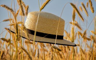 Litha : célébrer la pleine lumière et la conscience de soi